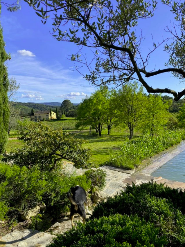 DCA2.jpg Séjour autour du vin, Taradeau