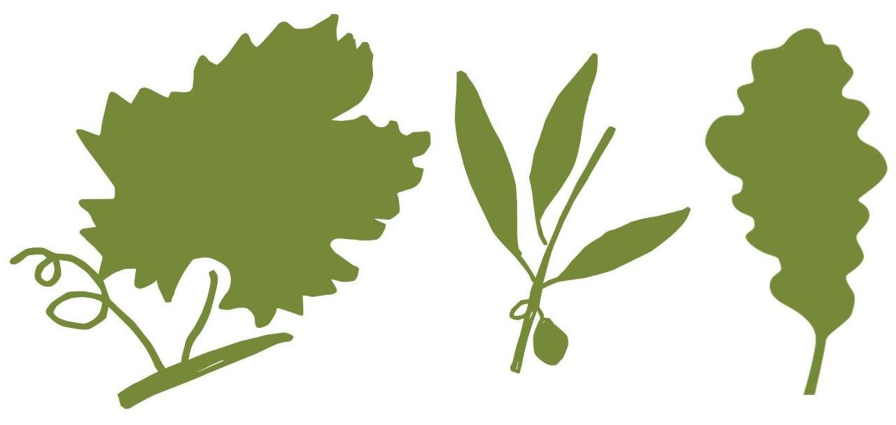 Olive oils and truffles