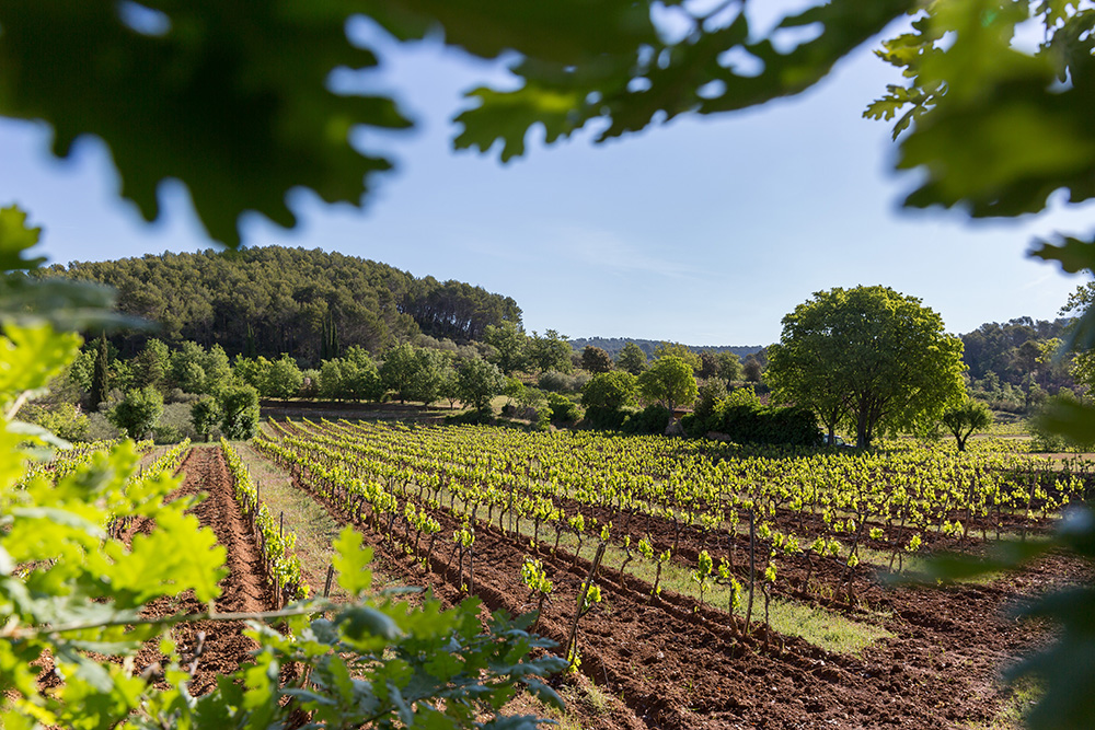 Séjour au Clos d’Alari